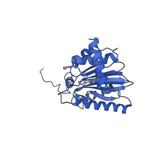 40938_8t08_V_v1-2
Preholo-Proteasome from Pre1-1 Pre4-1 Double Mutant
