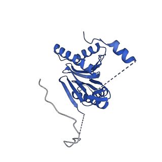 40938_8t08_Z_v1-2
Preholo-Proteasome from Pre1-1 Pre4-1 Double Mutant