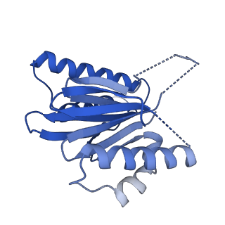 40938_8t08_b_v1-2
Preholo-Proteasome from Pre1-1 Pre4-1 Double Mutant
