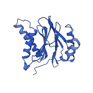 40938_8t08_d_v1-2
Preholo-Proteasome from Pre1-1 Pre4-1 Double Mutant