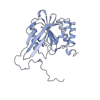 40938_8t08_f_v1-2
Preholo-Proteasome from Pre1-1 Pre4-1 Double Mutant