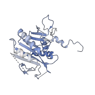 40938_8t08_g_v1-2
Preholo-Proteasome from Pre1-1 Pre4-1 Double Mutant