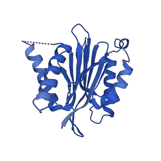 40938_8t08_h_v1-2
Preholo-Proteasome from Pre1-1 Pre4-1 Double Mutant