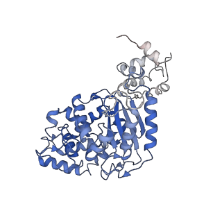 40950_8t0z_A_v1-0
Human liver-type glutaminase (K253A) with L-Gln, filamentous form