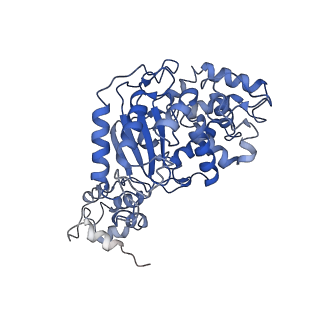 40950_8t0z_B_v1-0
Human liver-type glutaminase (K253A) with L-Gln, filamentous form