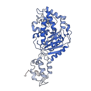 40950_8t0z_C_v1-0
Human liver-type glutaminase (K253A) with L-Gln, filamentous form