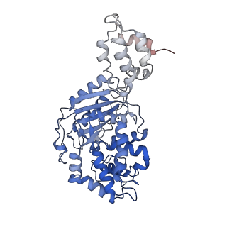 40950_8t0z_D_v1-0
Human liver-type glutaminase (K253A) with L-Gln, filamentous form