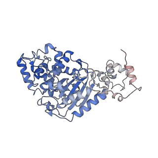 40950_8t0z_E_v1-0
Human liver-type glutaminase (K253A) with L-Gln, filamentous form