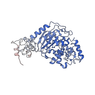 40950_8t0z_G_v1-0
Human liver-type glutaminase (K253A) with L-Gln, filamentous form