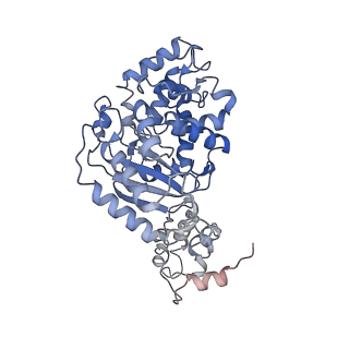 40950_8t0z_H_v1-0
Human liver-type glutaminase (K253A) with L-Gln, filamentous form