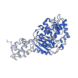 40950_8t0z_I_v1-0
Human liver-type glutaminase (K253A) with L-Gln, filamentous form