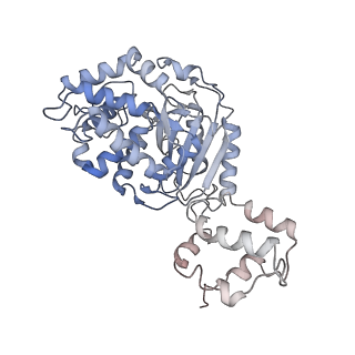 40950_8t0z_J_v1-0
Human liver-type glutaminase (K253A) with L-Gln, filamentous form