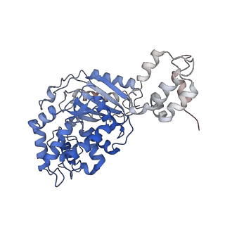 40950_8t0z_K_v1-0
Human liver-type glutaminase (K253A) with L-Gln, filamentous form