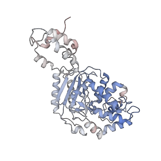 40950_8t0z_L_v1-0
Human liver-type glutaminase (K253A) with L-Gln, filamentous form