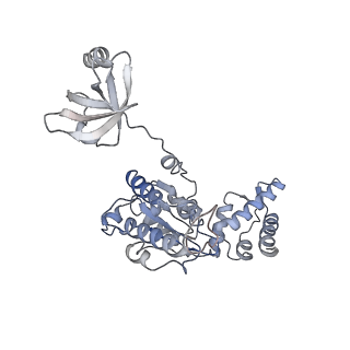 8332_5t0c_AB_v1-3
Structural basis for dynamic regulation of the human 26S proteasome