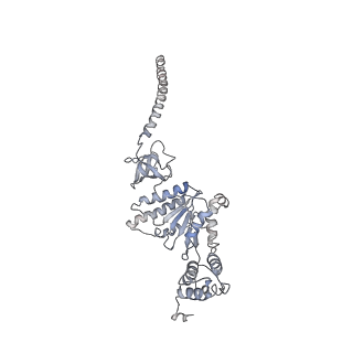 8332_5t0c_AD_v1-3
Structural basis for dynamic regulation of the human 26S proteasome