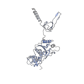 8332_5t0c_AF_v1-3
Structural basis for dynamic regulation of the human 26S proteasome