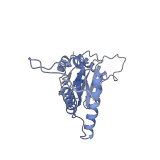 8332_5t0c_AJ_v1-3
Structural basis for dynamic regulation of the human 26S proteasome