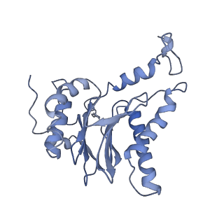 8332_5t0c_AL_v1-3
Structural basis for dynamic regulation of the human 26S proteasome