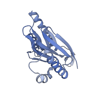 8332_5t0c_AN_v1-3
Structural basis for dynamic regulation of the human 26S proteasome