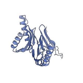 8332_5t0c_AO_v1-3
Structural basis for dynamic regulation of the human 26S proteasome