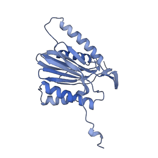 8332_5t0c_AT_v1-3
Structural basis for dynamic regulation of the human 26S proteasome
