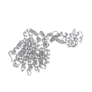 8332_5t0c_AU_v1-3
Structural basis for dynamic regulation of the human 26S proteasome