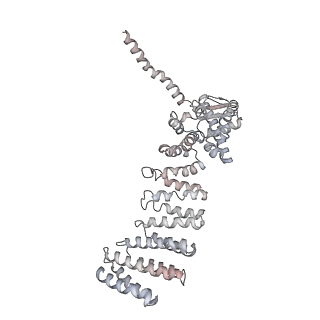 8332_5t0c_AW_v1-3
Structural basis for dynamic regulation of the human 26S proteasome