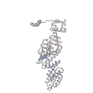 8332_5t0c_AX_v1-3
Structural basis for dynamic regulation of the human 26S proteasome