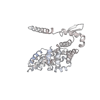 8332_5t0c_AY_v1-3
Structural basis for dynamic regulation of the human 26S proteasome