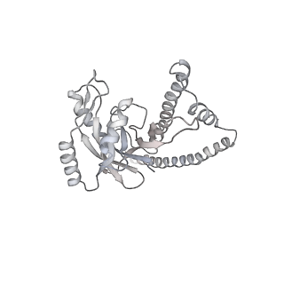 8332_5t0c_AZ_v1-3
Structural basis for dynamic regulation of the human 26S proteasome