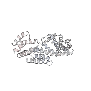 8332_5t0c_Aa_v1-3
Structural basis for dynamic regulation of the human 26S proteasome