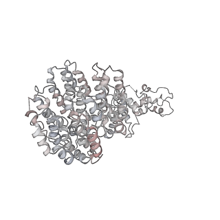 8332_5t0c_Af_v1-3
Structural basis for dynamic regulation of the human 26S proteasome