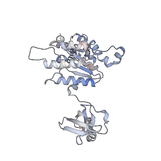 8332_5t0c_BA_v1-3
Structural basis for dynamic regulation of the human 26S proteasome
