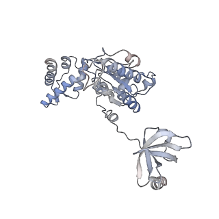 8332_5t0c_BB_v1-3
Structural basis for dynamic regulation of the human 26S proteasome