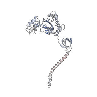 8332_5t0c_BC_v1-3
Structural basis for dynamic regulation of the human 26S proteasome