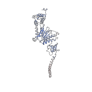 8332_5t0c_BD_v1-3
Structural basis for dynamic regulation of the human 26S proteasome