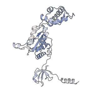 8332_5t0c_BE_v1-3
Structural basis for dynamic regulation of the human 26S proteasome
