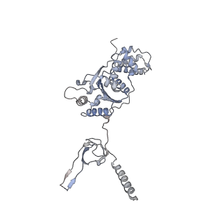 8332_5t0c_BF_v1-3
Structural basis for dynamic regulation of the human 26S proteasome