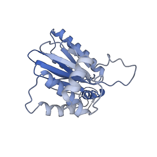8332_5t0c_BG_v1-3
Structural basis for dynamic regulation of the human 26S proteasome