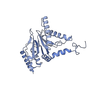 8332_5t0c_BI_v1-3
Structural basis for dynamic regulation of the human 26S proteasome