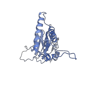 8332_5t0c_BJ_v1-3
Structural basis for dynamic regulation of the human 26S proteasome