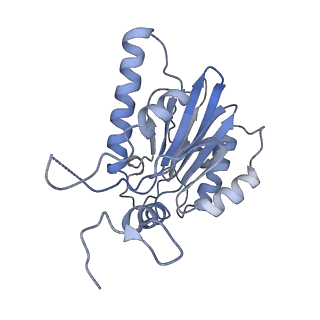8332_5t0c_BK_v1-3
Structural basis for dynamic regulation of the human 26S proteasome