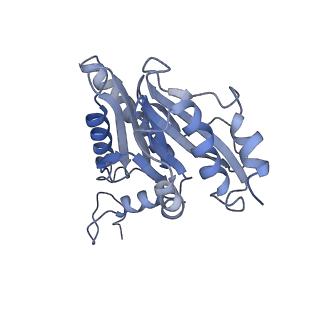 8332_5t0c_BM_v1-3
Structural basis for dynamic regulation of the human 26S proteasome