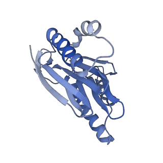 8332_5t0c_BN_v1-3
Structural basis for dynamic regulation of the human 26S proteasome