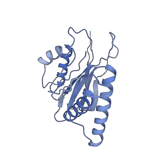 8332_5t0c_BQ_v1-3
Structural basis for dynamic regulation of the human 26S proteasome