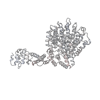 8332_5t0c_BU_v1-3
Structural basis for dynamic regulation of the human 26S proteasome