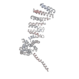 8332_5t0c_BW_v1-3
Structural basis for dynamic regulation of the human 26S proteasome