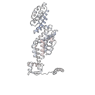 8332_5t0c_BX_v1-3
Structural basis for dynamic regulation of the human 26S proteasome