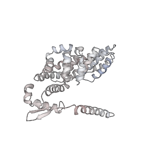 8332_5t0c_BY_v1-3
Structural basis for dynamic regulation of the human 26S proteasome